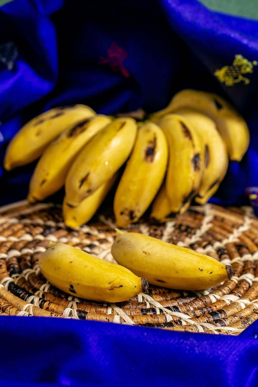 Banana harvest