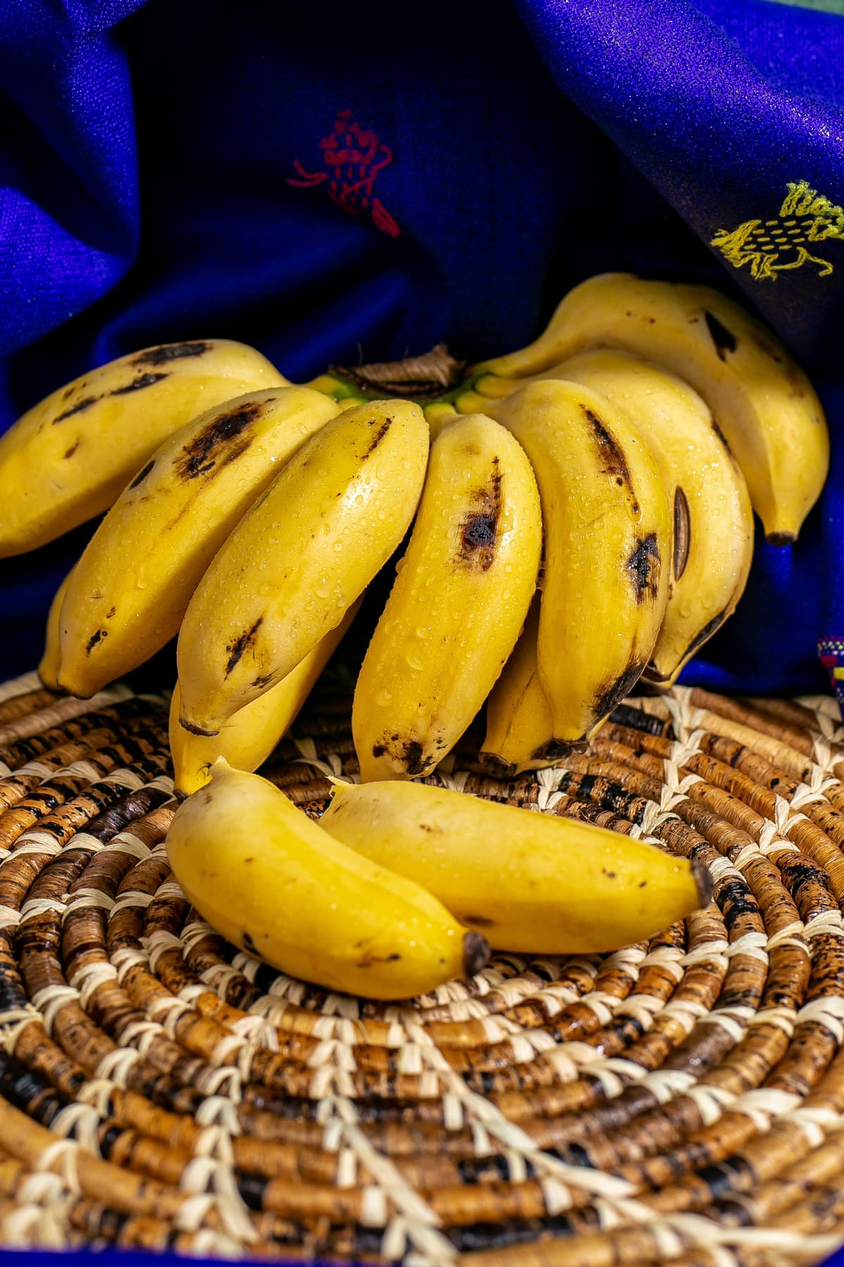 Banana abundance shot