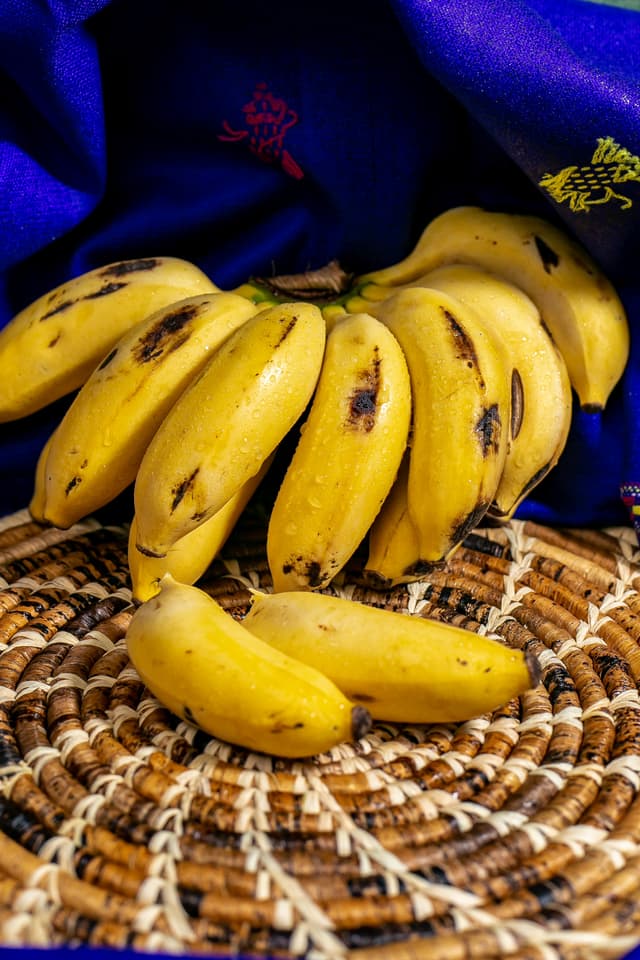 Banana Abundance